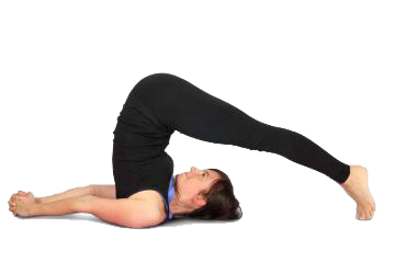 Yoga in der Praxis Movita: Übung "Der Pflug"